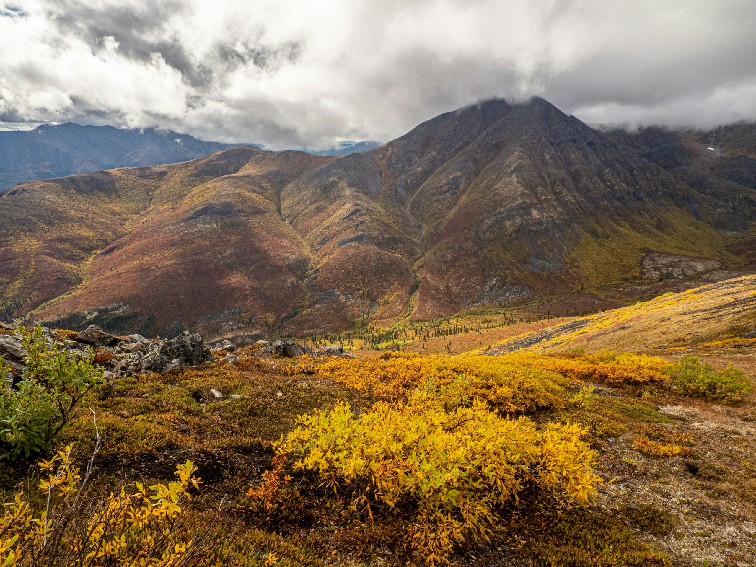 wilderness tourism association of yukon